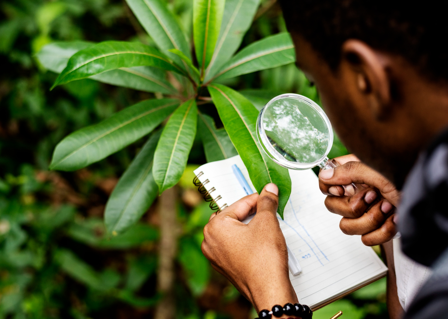  turbinas eólicas em um campo verdejante, representando energia sustentável